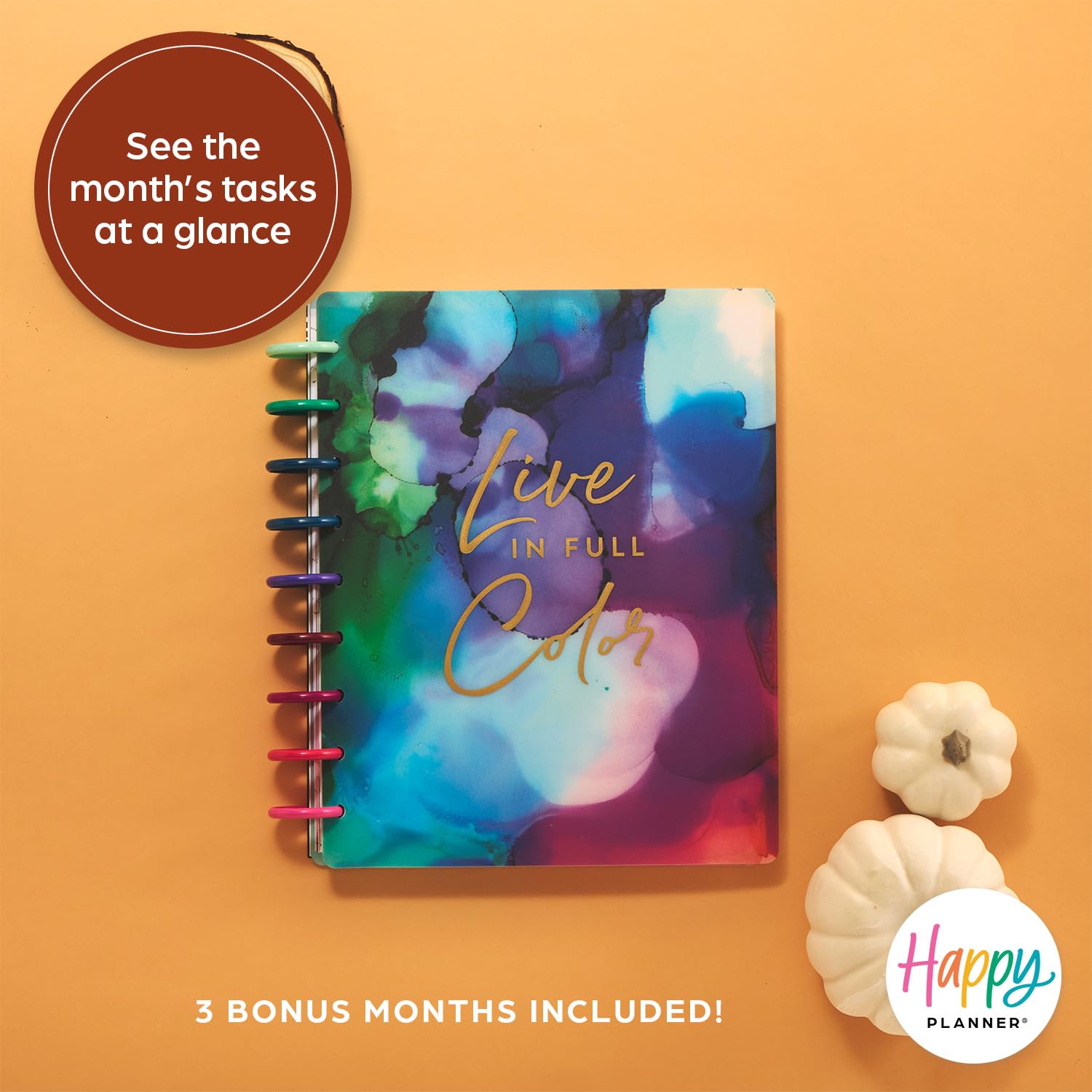 Happy Planner 2025 Disc-Bound 12-Month Planner - Daily Weekly Monthly Organizer with Stickers, Classic Size 7