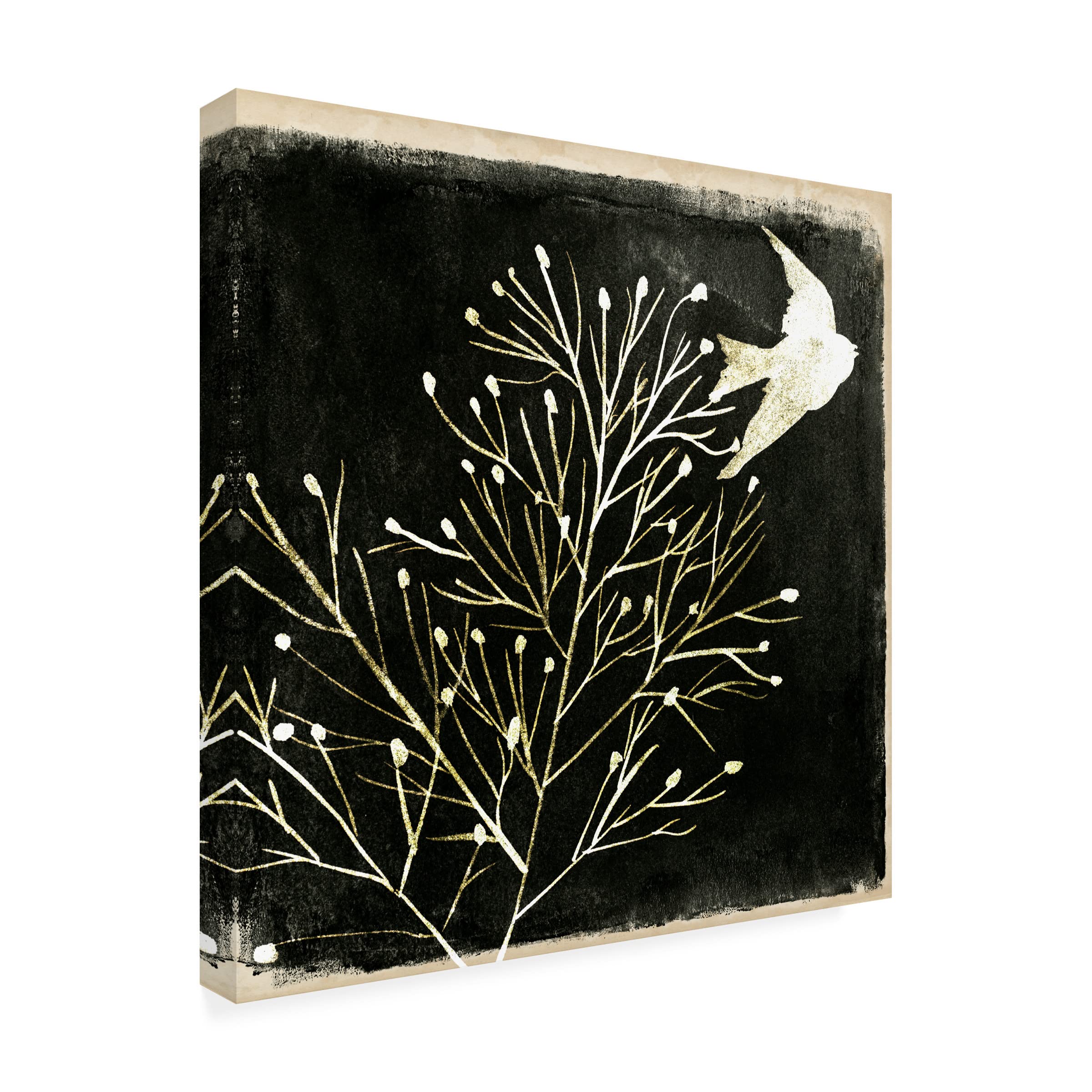 Trademark Fine Art 'Black Night I' Canvas Wall Art by Melissa Wang - Modern Abstract Painting for Living Room, Bedroom & Office Decor