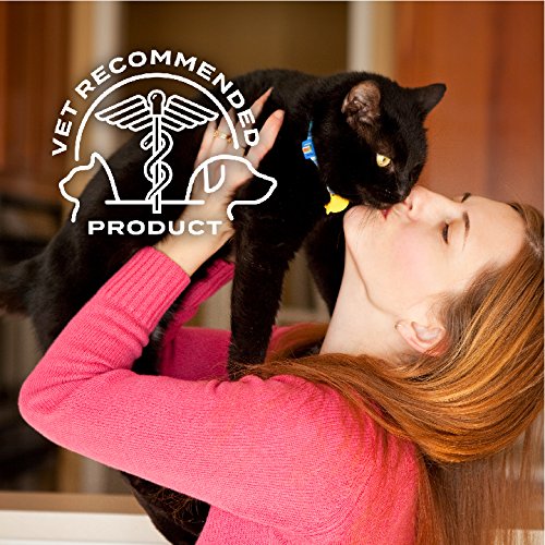Advecta II Flea Treatment for Cats Over 9 lbs - 4 Month Supply | Fast-Acting Flea Prevention & Control for Indoor & Outdoor Cats