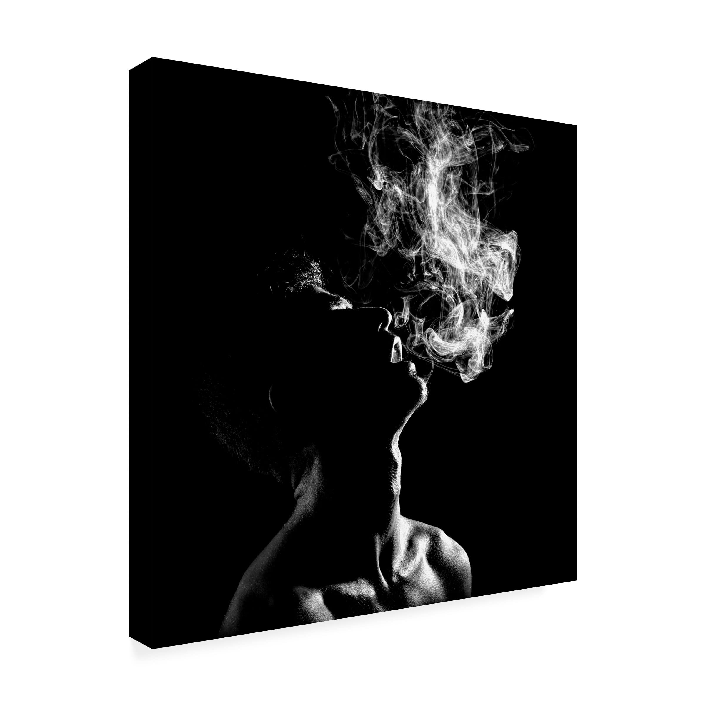 Trademark Fine Art 'Smoke' Canvas Wall Art Print by Paulo Medeiros - Modern Abstract Painting for Living Room, Bedroom & Office Decor