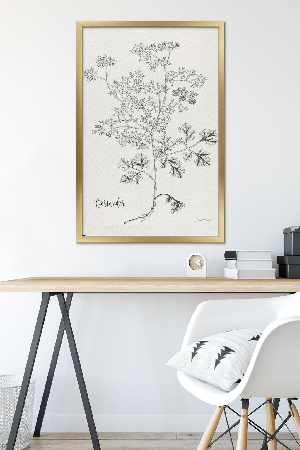Trends International Jean Plout - Botanical Coriander Wall Art Print Poster 22.375x34 Inches, Gold Framed Home Decor for Kitchen, Dining Room or Office