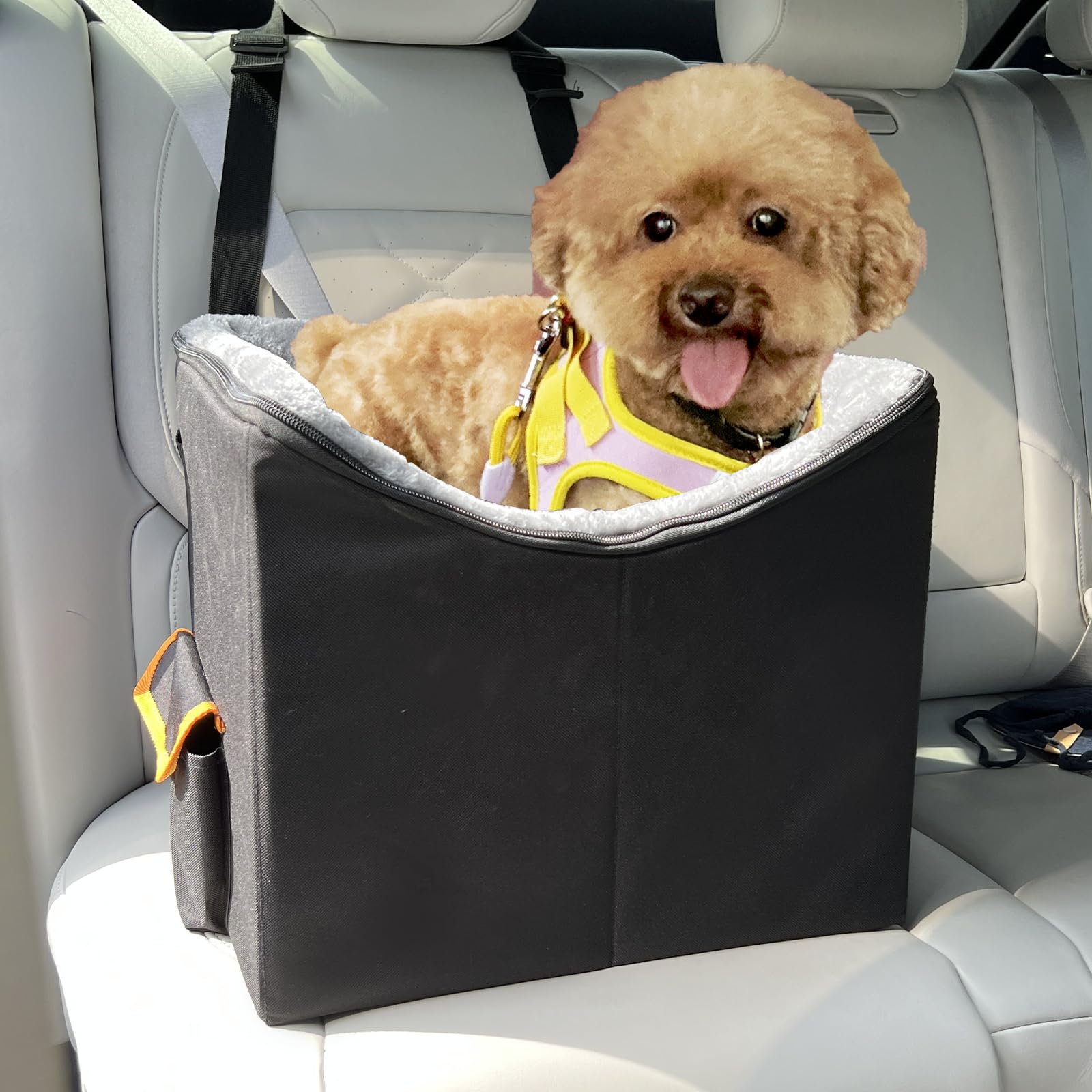 JJRING Elevated Dog Car Seat for Small Dogs - Washable & Detachable Pet Booster Seat, Black - Perfect for Safe & Comfortable Car Travel with Your Puppy