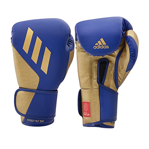 BLUE/GOLD