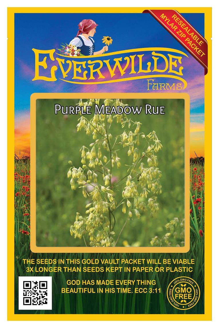 300 Purple Meadow Rue Native Wildflower Seeds - Premium Gold Vault Seed Packet by Everwilde Farms - Perfect for Butterfly Gardens, Pollinator Habitats & Natural Landscaping