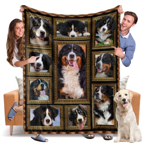 Bernese Mountain Dog