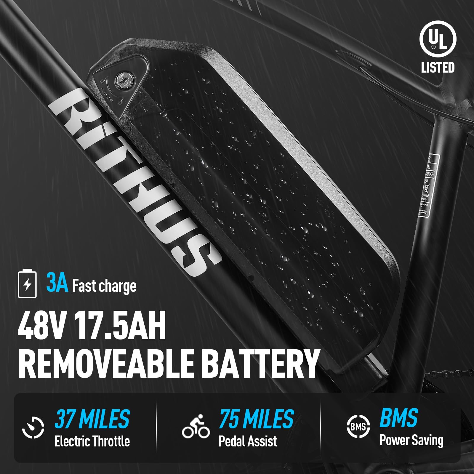 1000W 48V Electric Bike for Adults - 26