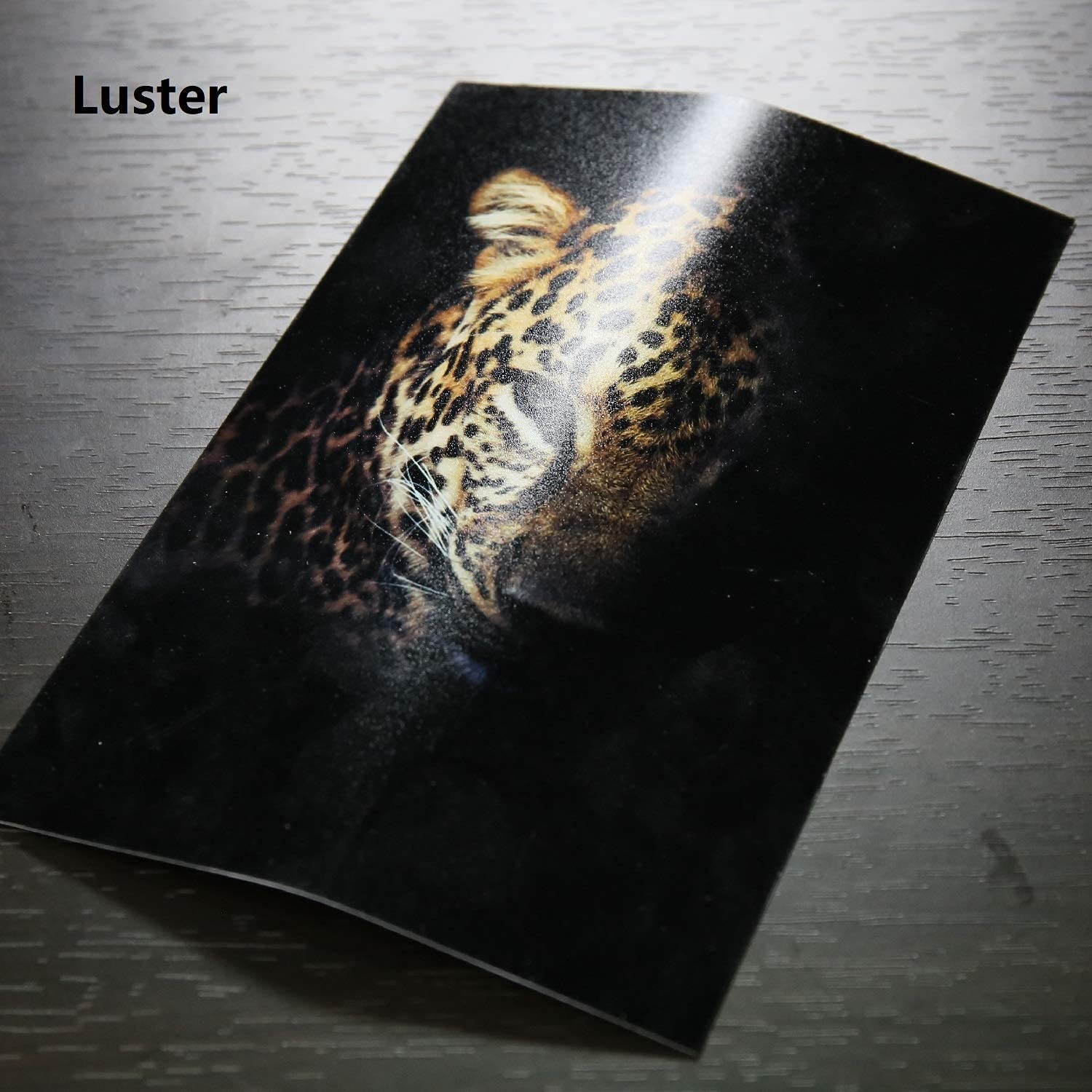 Premium A-SUB 50 Sheets Glossy & 50 Sheets Luster Photo Paper 13x19 Inch - 66lb Heavyweight for Inkjet Printers - Ideal for Professional Photos, Art Prints & Home Decor Projects