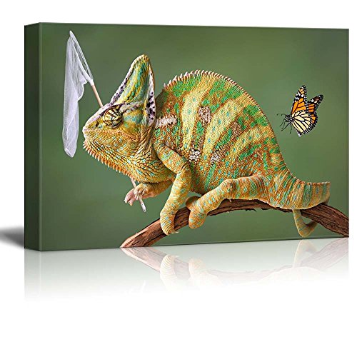 Veiled Chameleon