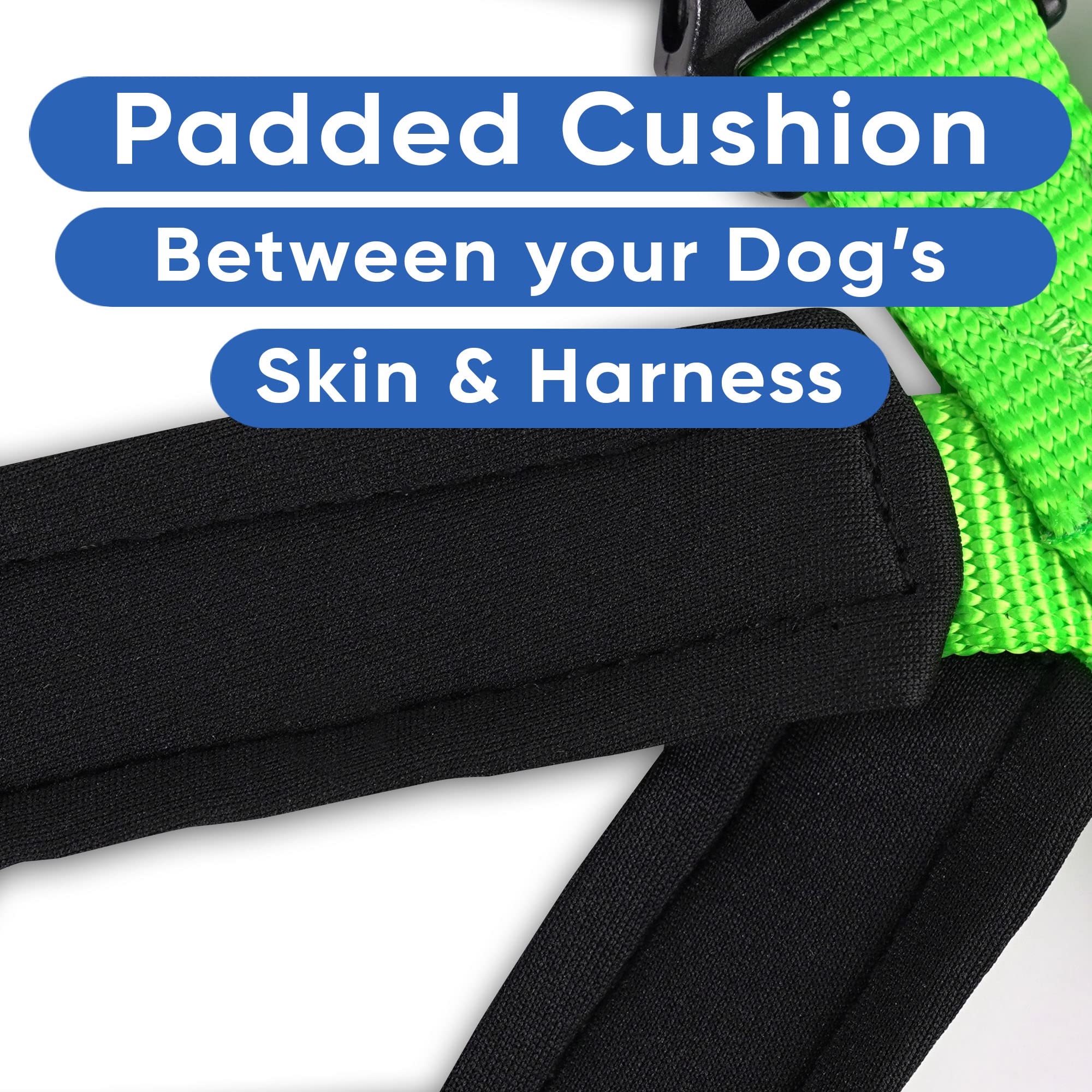 Pawtitas Reflective Padded Dog Harness - Comfortable & Adjustable Pet Vest for Walking, Running & Night Safety (Small, Green) - Perfect for Outdoor Adventures & Daily Walks