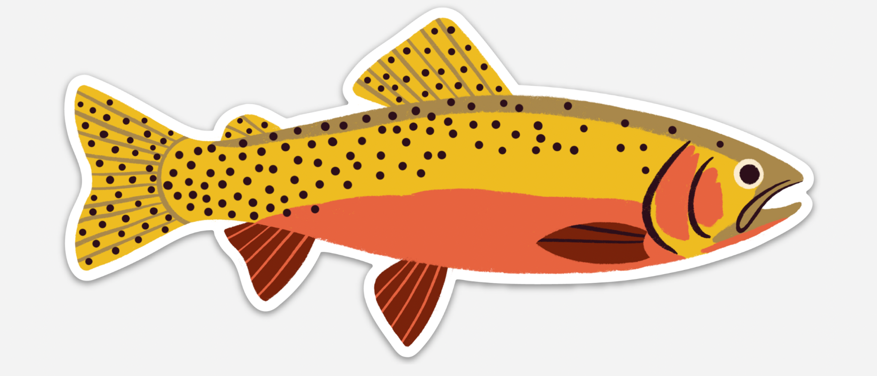 Native Trout Sticker - Waterproof Vinyl Decal for Fishing Gear, Coolers & Outdoor Equipment - Perfect for Anglers & Nature Lovers