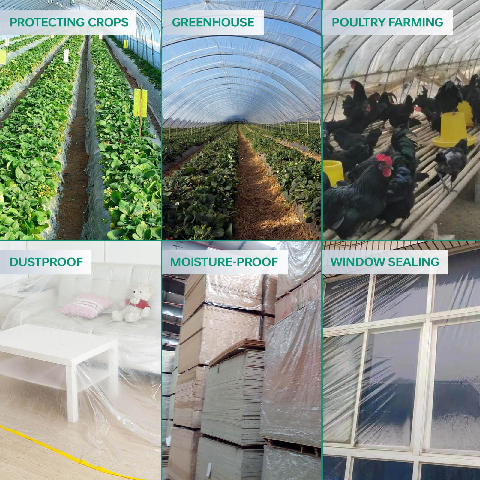 6.5X6.5FT Clear Greenhouse Plastic Sheeting - 6 Mil Thick Anti-Drip Greenhouse Film Cover for Gardening, Farming & Plant Protection - Durable UV-Resistant Polyethylene Plastic for Greenhouses, Agriculture & Hydroponics (Perfect for Seed Starting, Plant Growth & Season Extension)