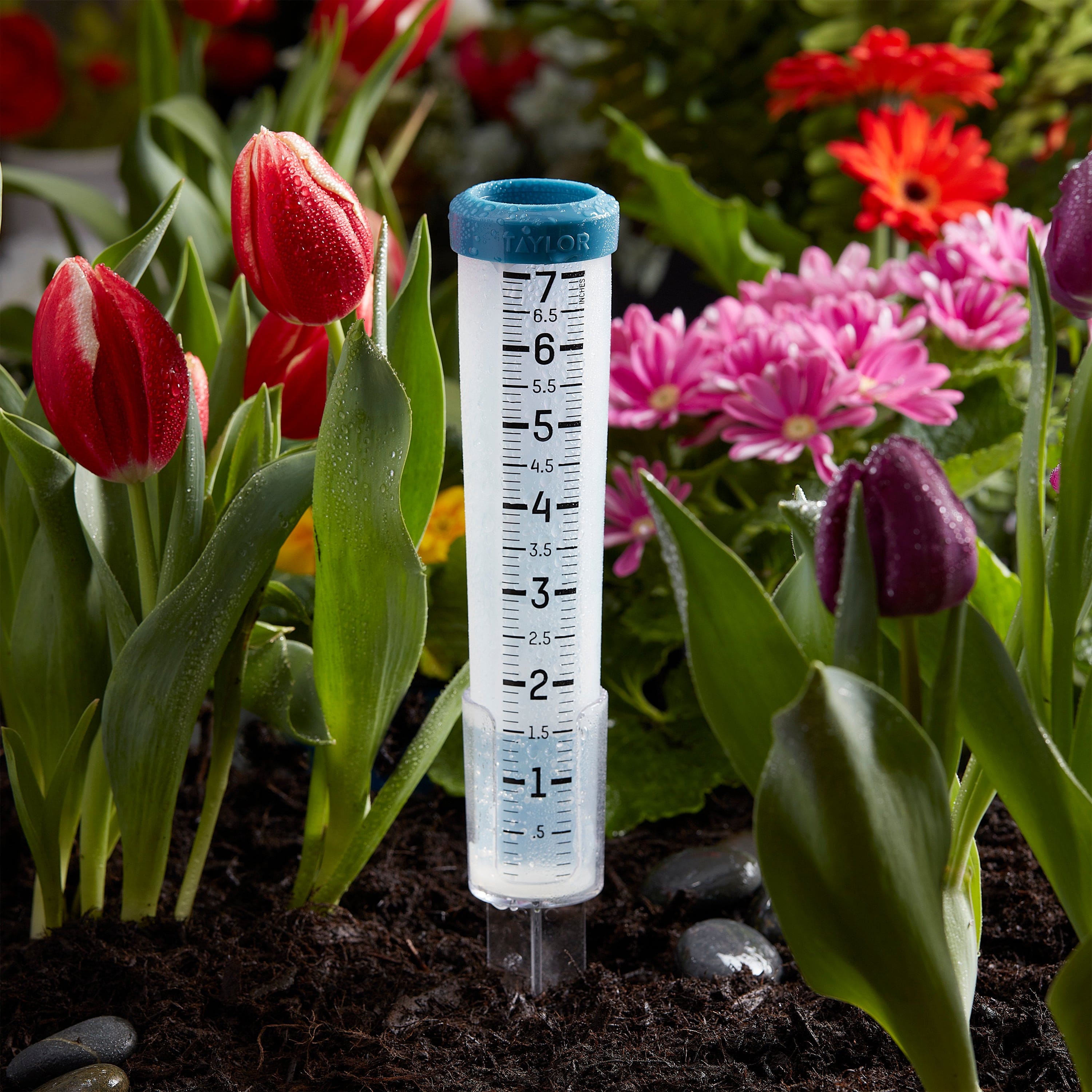 Accurate 7-Inch Silicone Rain Gauge for Outdoor Weather Measurement - Perfect for Garden, Lawn, and Backyard Use