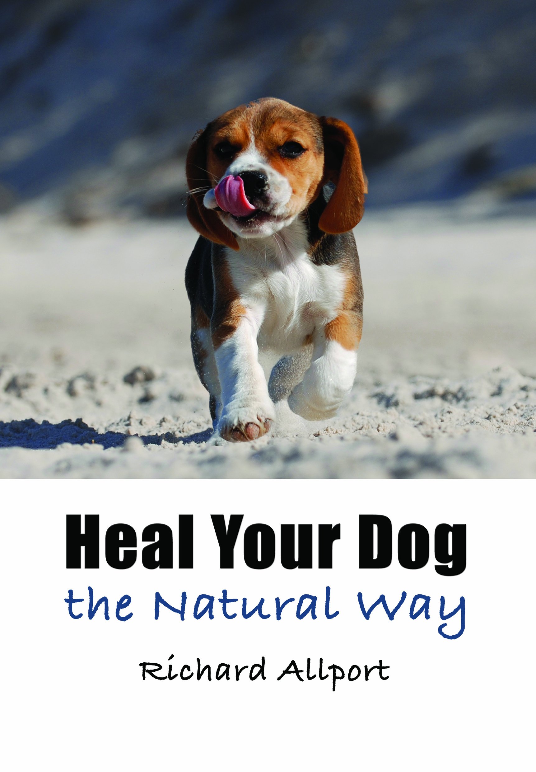 Natural Dog Healing Remedies - Organic & Holistic Pet Care Solutions for Pain Relief, Anxiety & Wellness | Perfect for Home Use & Vet Recommendations
