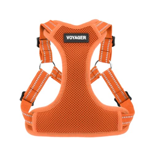 Harness (Orange)