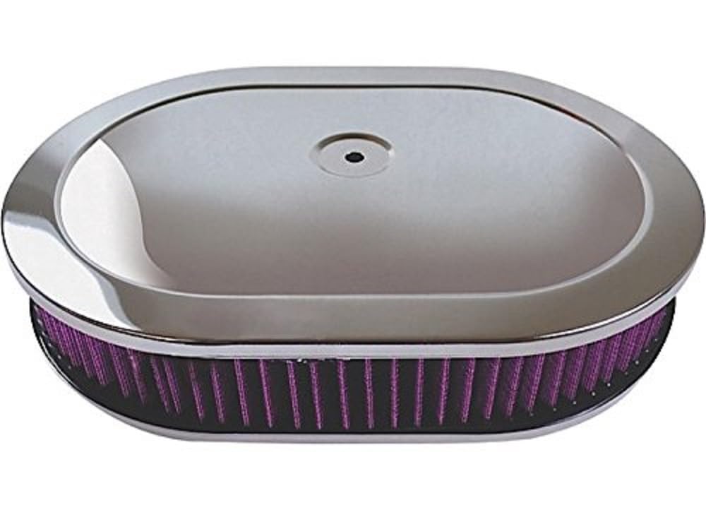 R2220X HEPA Air Purifier for Home - Removes Dust, Pollen & Pet Dander - Perfect for Bedroom, Living Room & Office Use