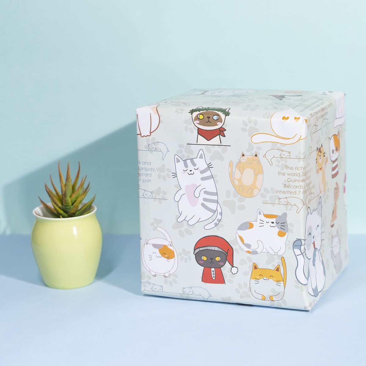 Premium Recyclable Gift Wrapping Paper - 5 Pack Large 28