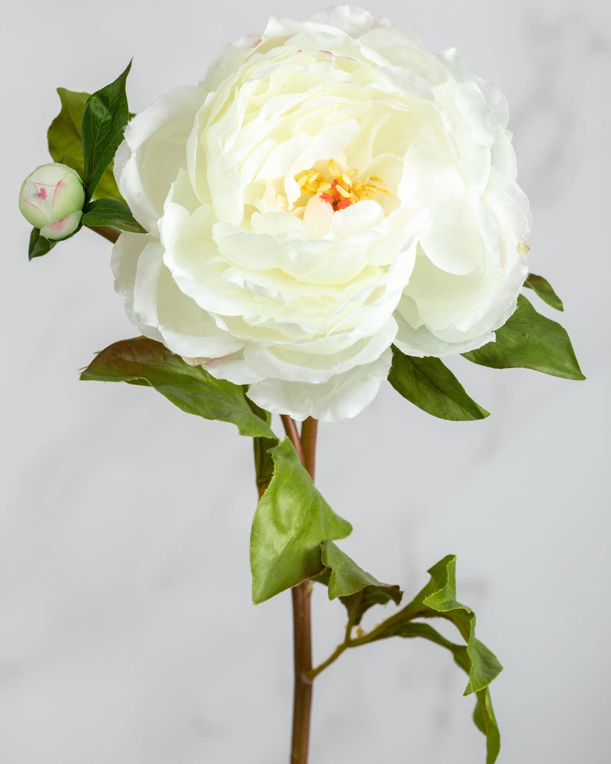 Artificial White Peony Silk Flower Bouquet - 19.5 Inch Realistic Fake Peony Stems for Home Decor, Wedding Centerpieces & Floral Arrangements