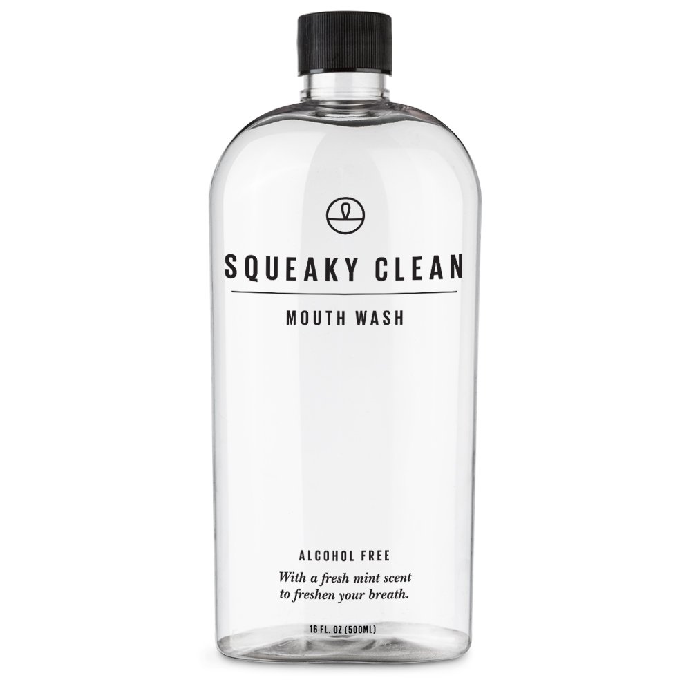 Alcohol-Free Mouthwash for Fresh Breath - 16 oz Squeaky Clean Oral Rinse with Cool Mint Flavor | Fights Bad Breath | Ideal for Daily Use, Travel & Post-Meal Freshness