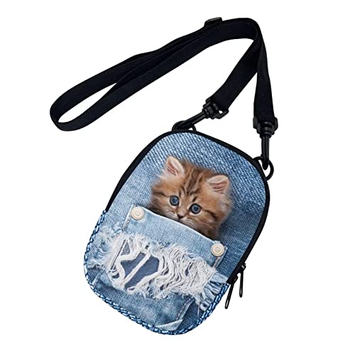 Denim Cat