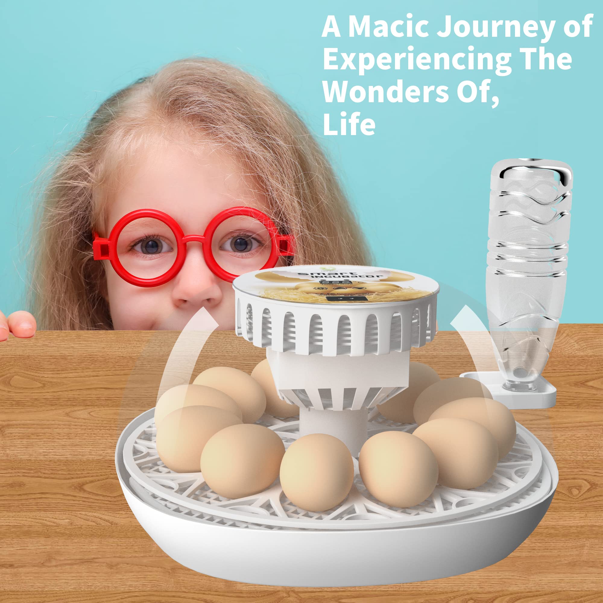 Lreerge 12 Egg Incubator - Automatic Egg Turner & Water Feeder, 360° Clear View for Hatching Chicken, Goose, Quail, Duck Eggs - Perfect for Home Poultry Farming & Classroom Science Projects