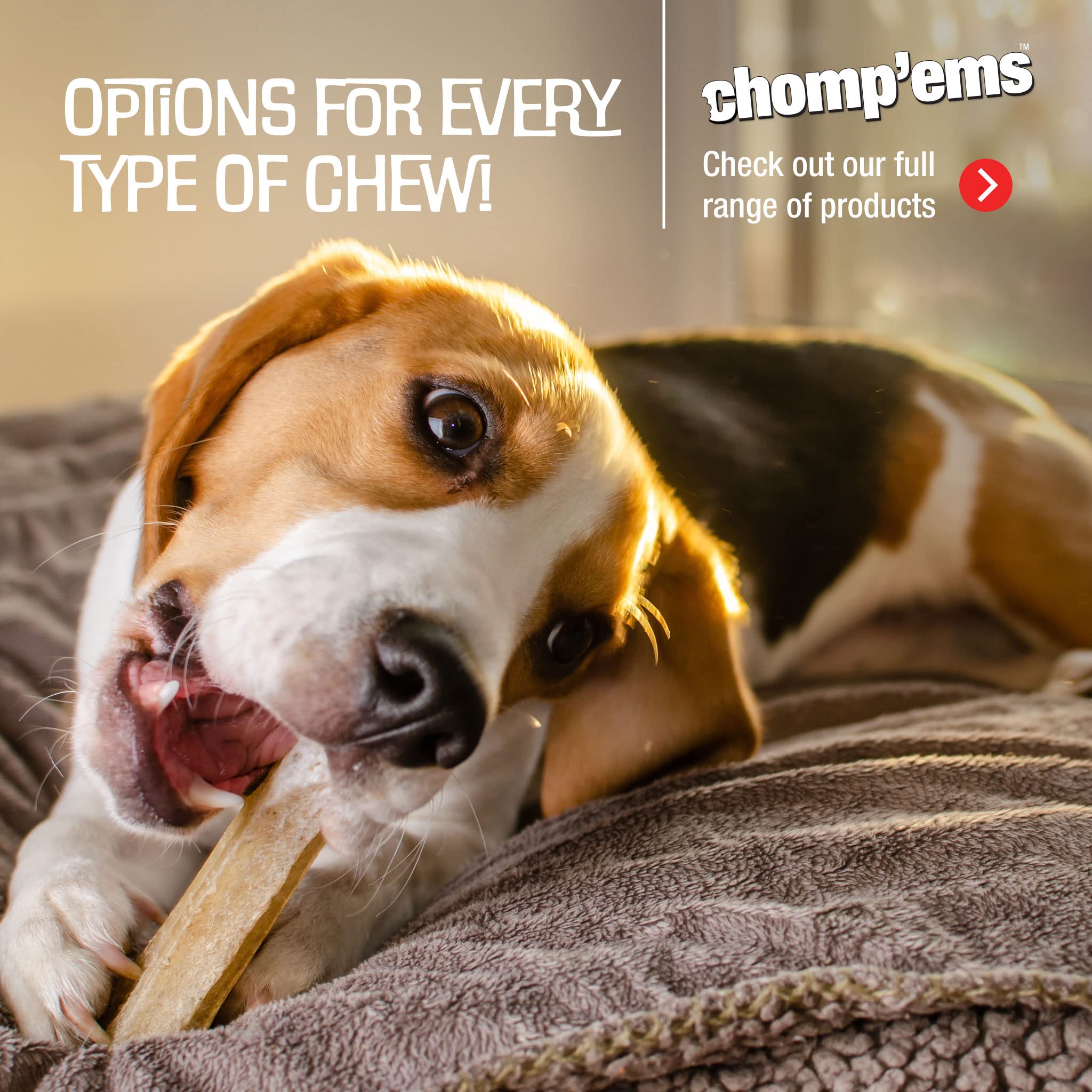 CHOMP 'EMS Five Flavor Kabobs Dog Treats - Beefhide Chewsticks for Dogs - High Protein Dental Chews, 24 Count - Perfect for Training, Teething Puppies & Aggressive Chewers