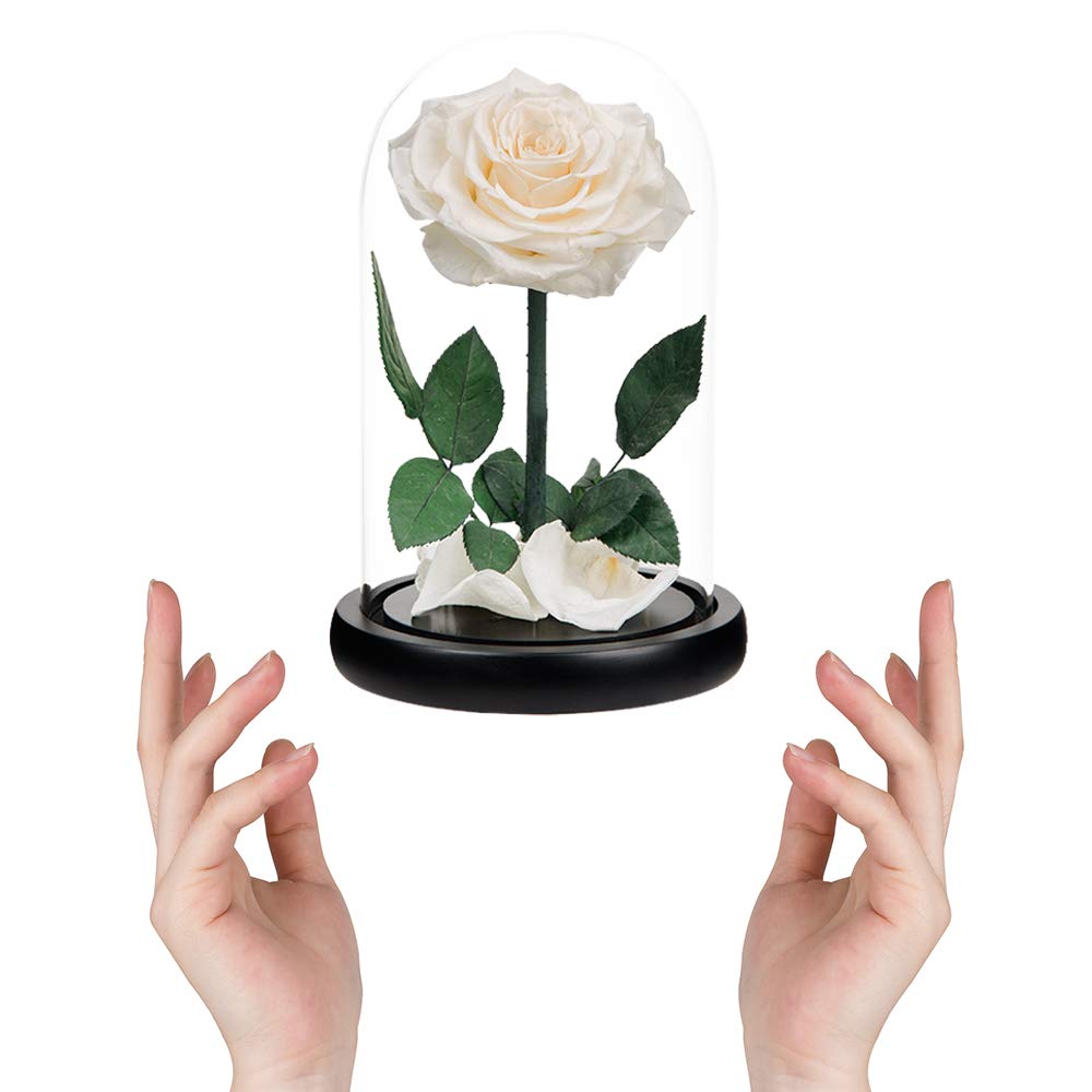 Handmade Real Preserved White Roses in Glass Dome - Never Wither Romantic Gift for Her, Mother's Day, Birthday, Anniversary - Perfect for Home Decor, Wedding Centerpieces & Special Occasions (9 inch)