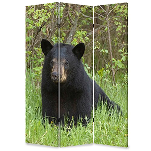 Screen Gems Bear Room Divider - Decorative Folding Partition for Nursery, Kids Room & Play Area - Perfect for Privacy & Space Separation