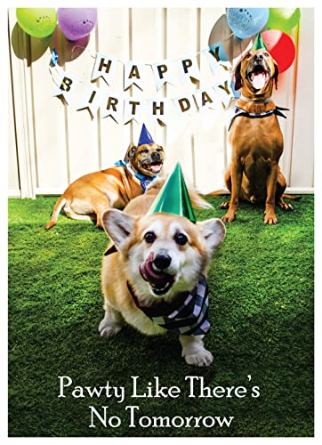 Pawty No Tomorrow