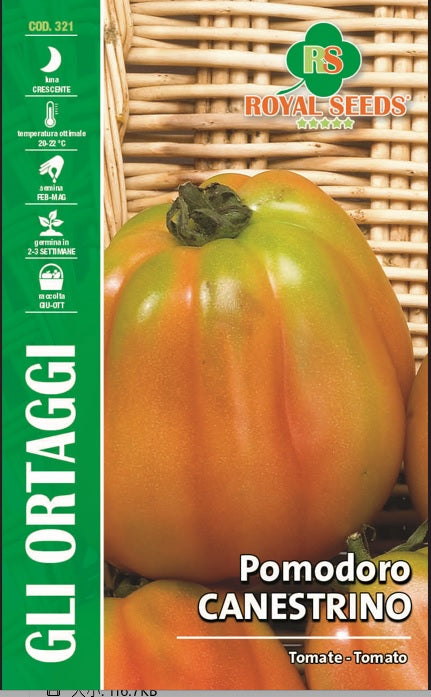 Tomato Canestrino Royal Seeds RYMO106/132 - Premium Heirloom Tomato Seeds for Home Gardening, Perfect for Sauces & Fresh Eating