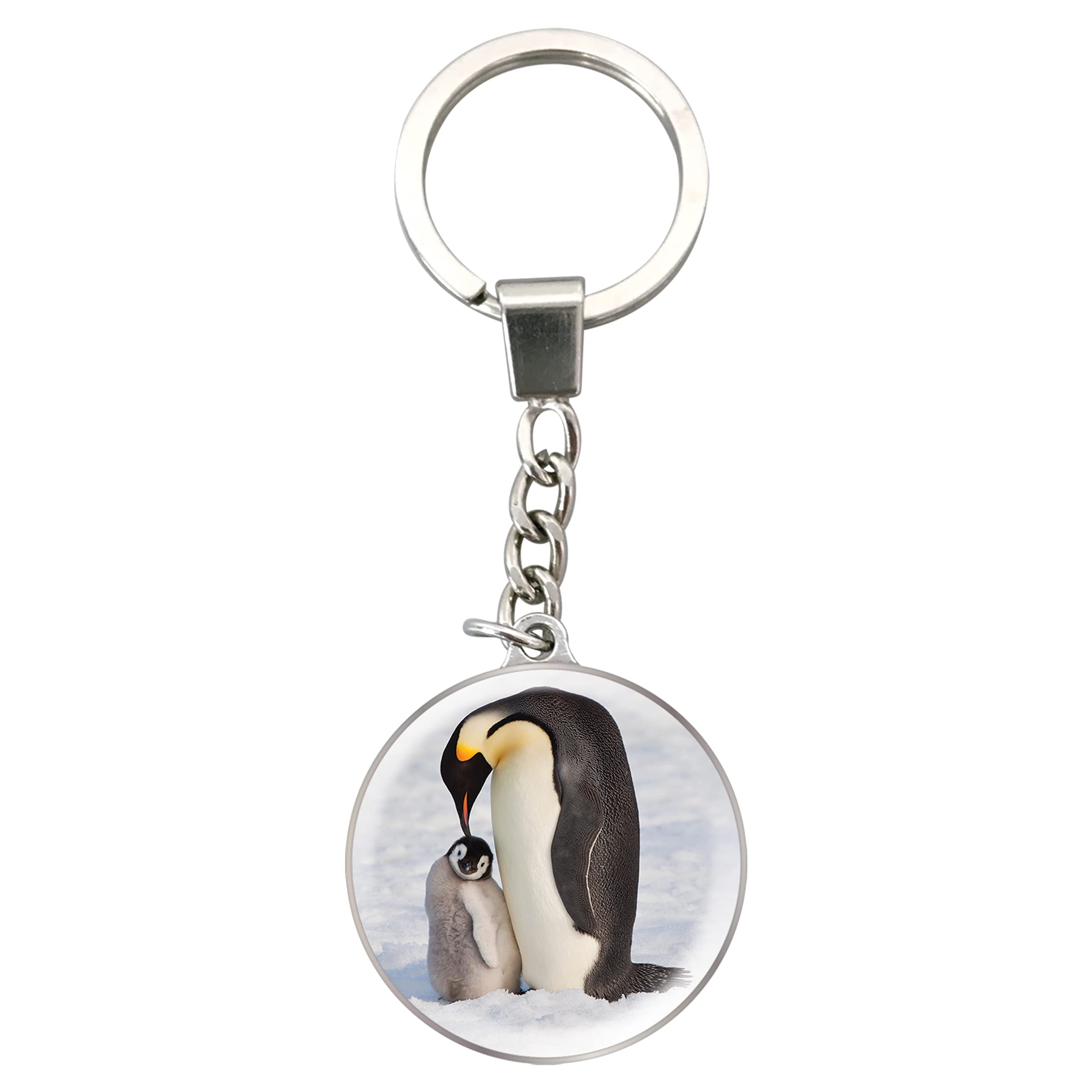 Deluxebase Magnidome Keychain - Dome Shaped Picture Key Ring with Stainless Steel Chain & Crystal Glass Dome - Perfect for Gifts, Travel Souvenirs, and Personal Keepsakes