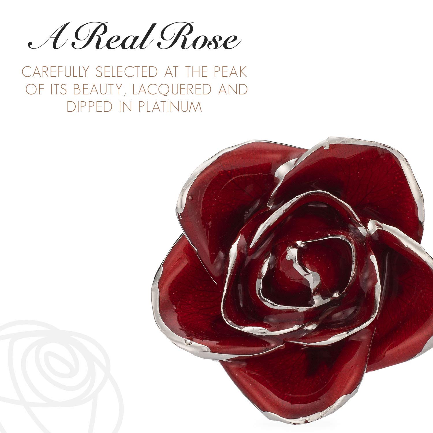 Forever Rose Red Platinum - Preserved Real Rose Dipped in Lacquer with Platinum Trim | Romantic Gift for Women, Men, Anniversary, Valentine's Day | Perfect for Home Decor, Wedding Centerpieces & Luxury Gift Giving