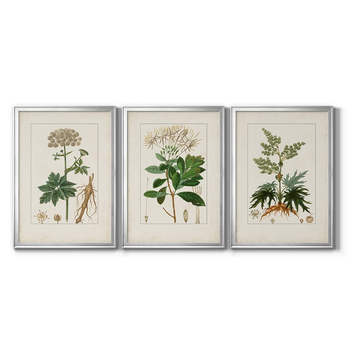 Rustic Wall Art Set - 3 Piece Silver Framed Canvas Botanical Prints (22x30 Inches Each) | Modern Home Decor for Living Room, Bedroom & Office | Vintage Turpin Style Wall Hangings
