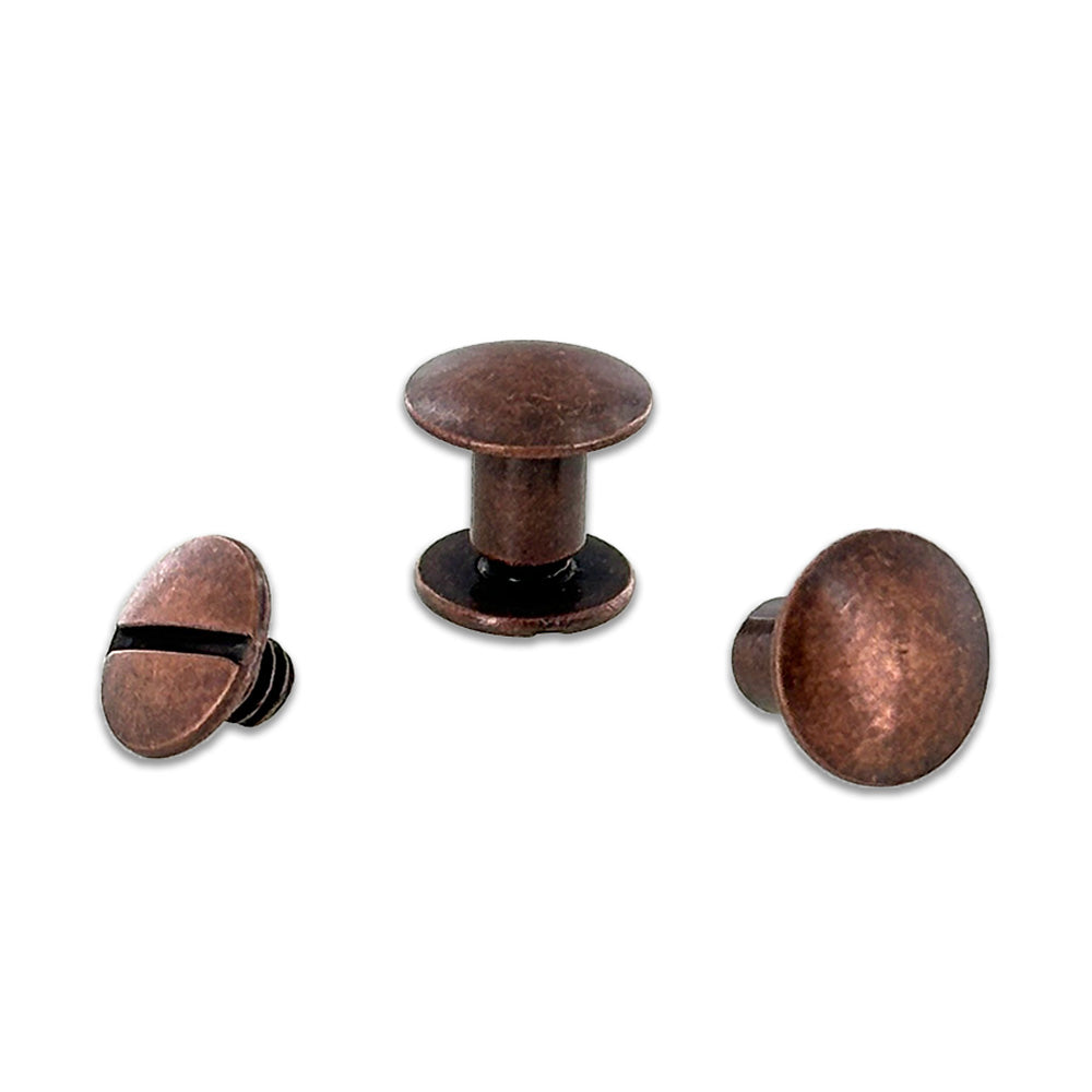 Chicago Screws 1/4 Inch (6.35mm) - 2 Pack - Nickel Plated Brass Fasteners for Leather Craft, Bookbinding & DIY Projects