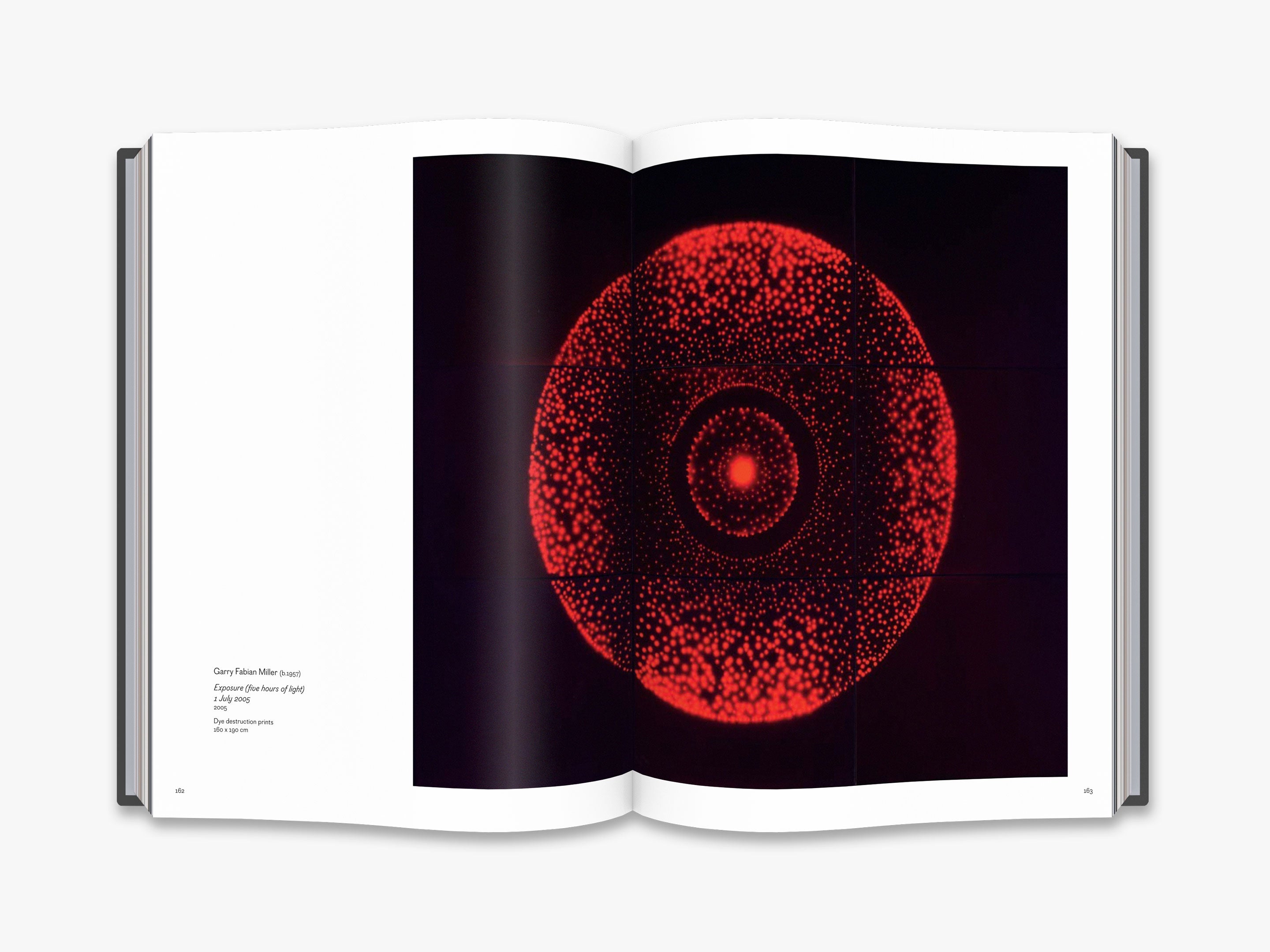 Cameraless Photography Book - Victoria and Albert Museum Collection | Art History, Alternative Photography Techniques | Perfect for Artists, Photographers & Museum Enthusiasts