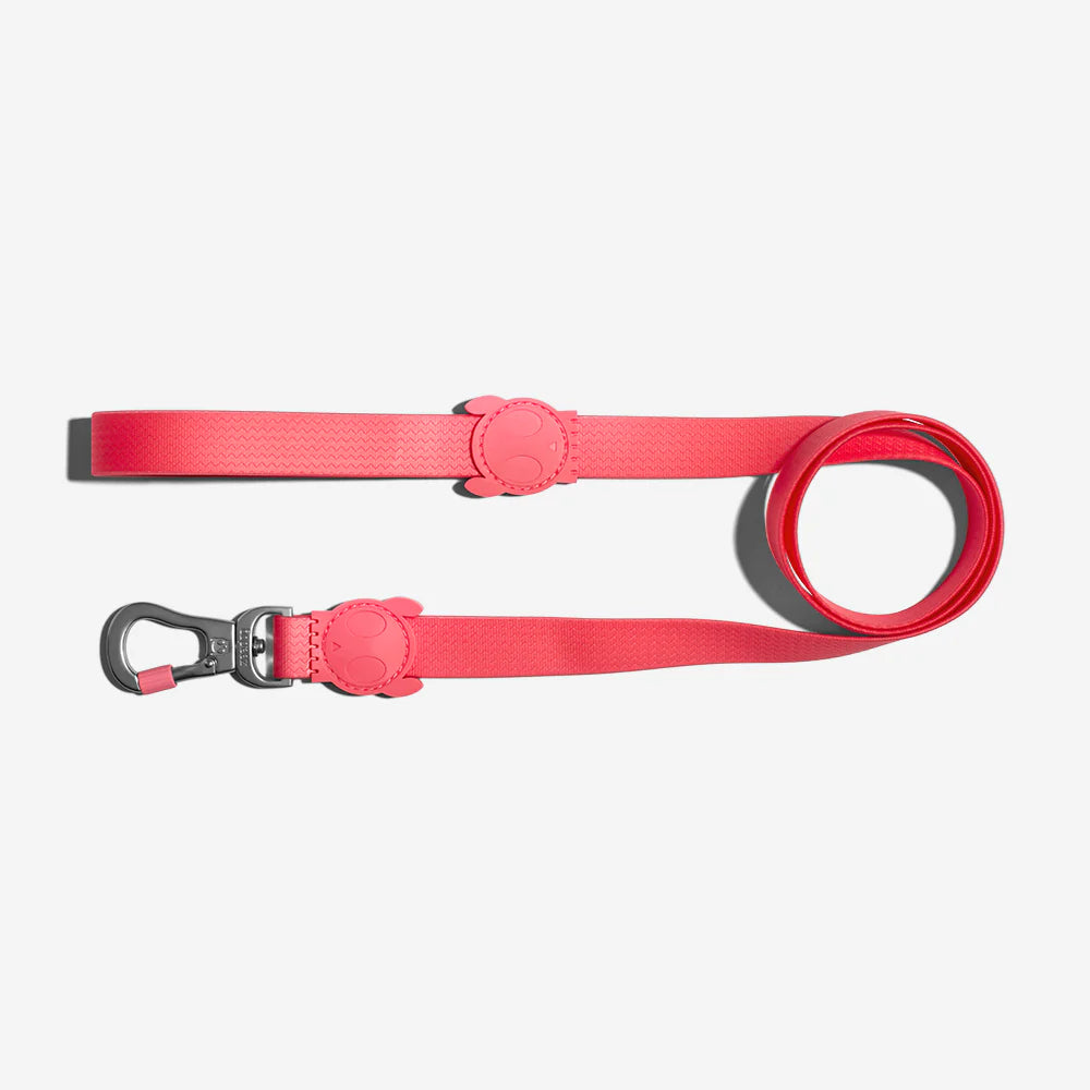 Neopro Bubblegum Dog Collar by Zee.Dog - Adjustable, Durable & Stylish Pet Accessory for Small, Medium & Large Dogs - Perfect for Walks, Training & Outdoor Adventures