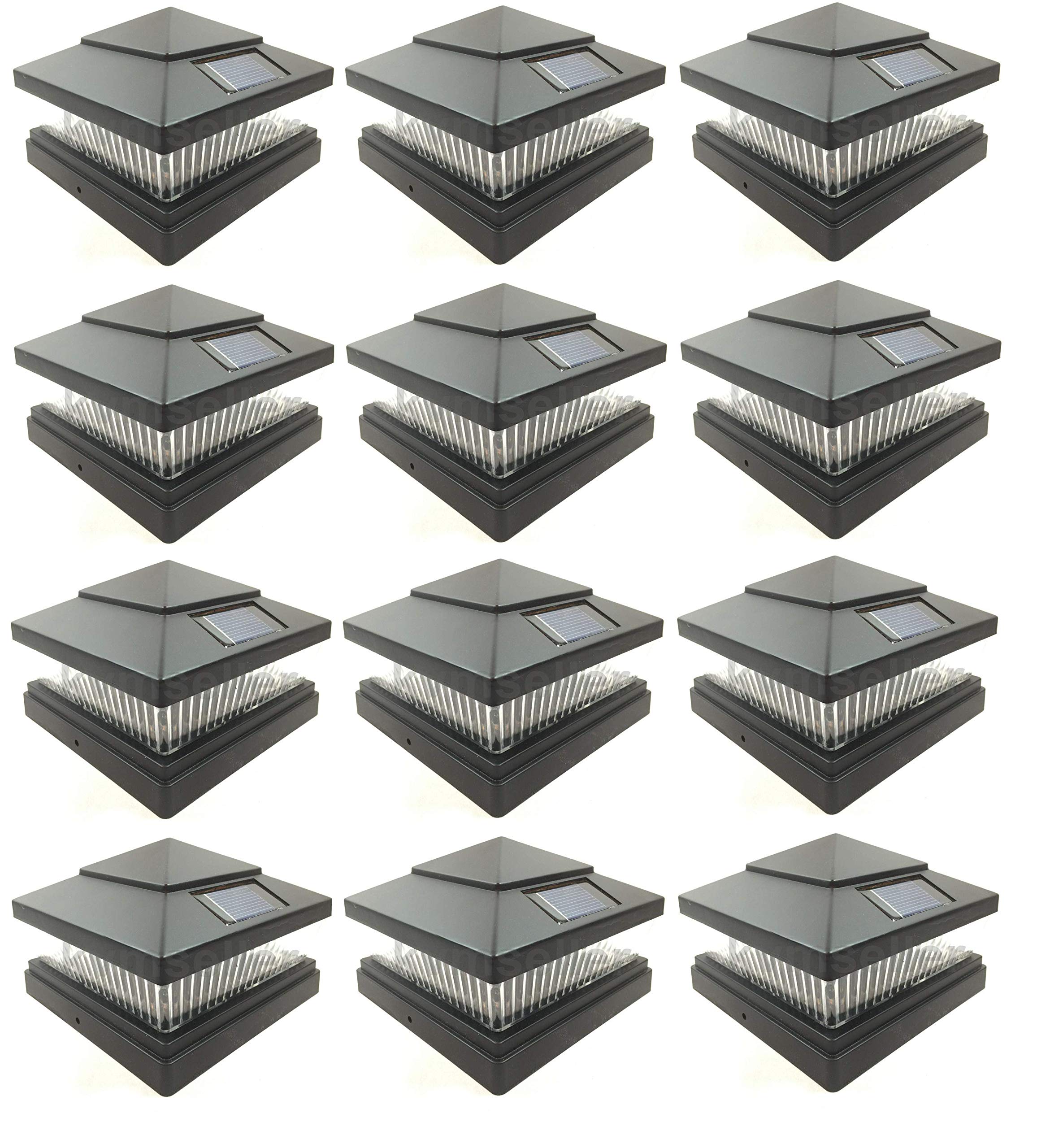 12 Pack Black 5