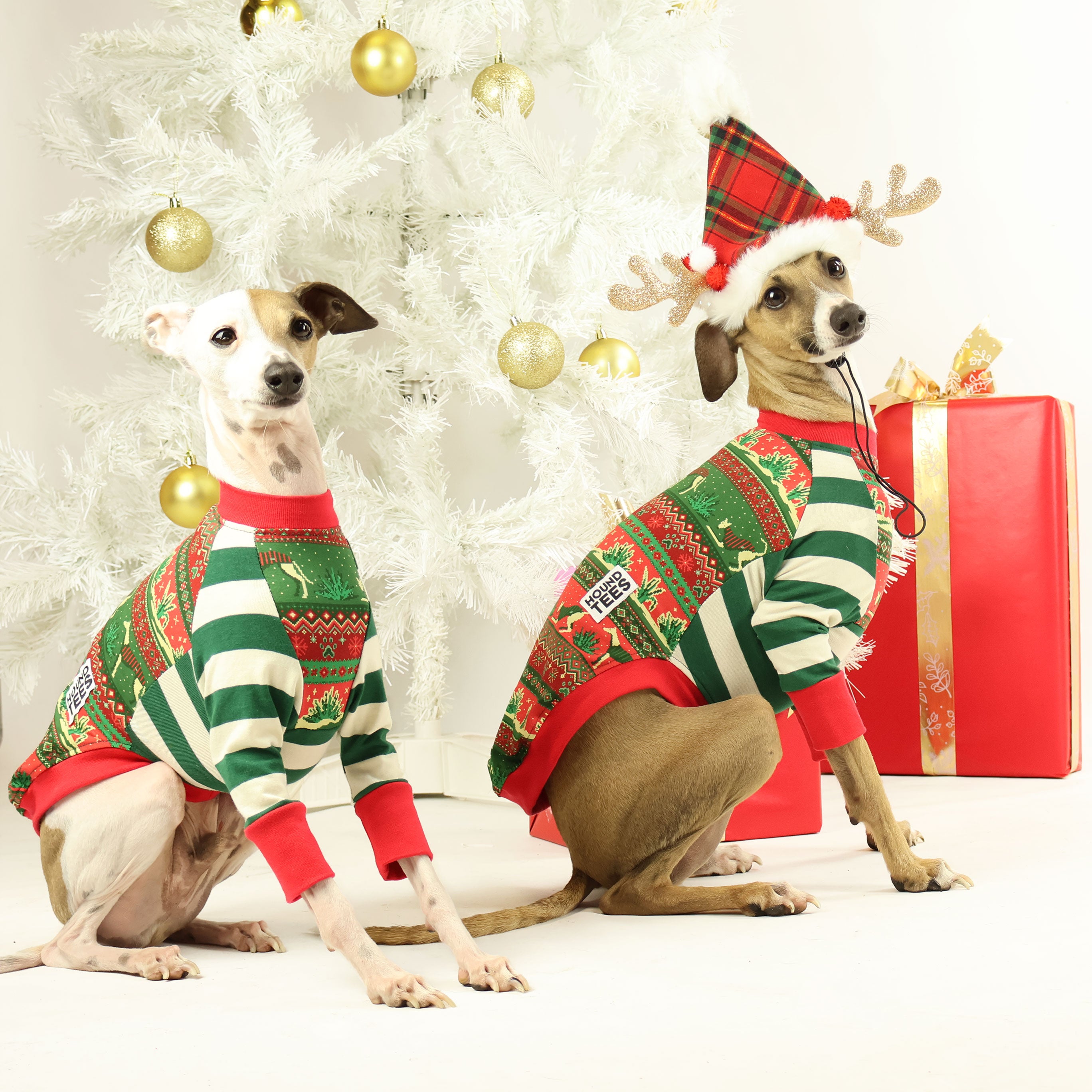Iggy Christmas Long Sleeve Dog T-Shirt - Festive Holiday Pet Apparel for Dogs - Perfect for Christmas Photos & Family Gatherings