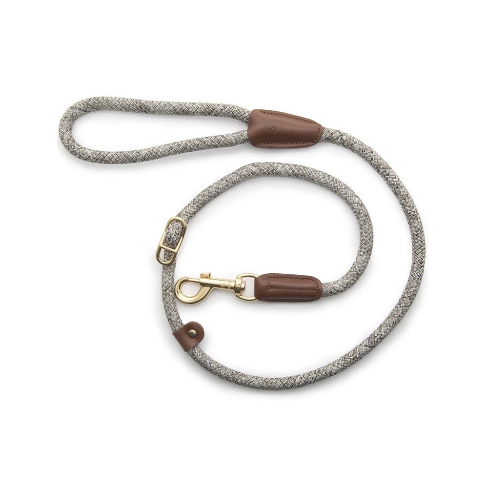 Metro Collar & Slip Leash for Dogs - Adjustable Nylon Pet Collar with Reflective Stitching - Perfect for Walking, Training & Outdoor Adventures