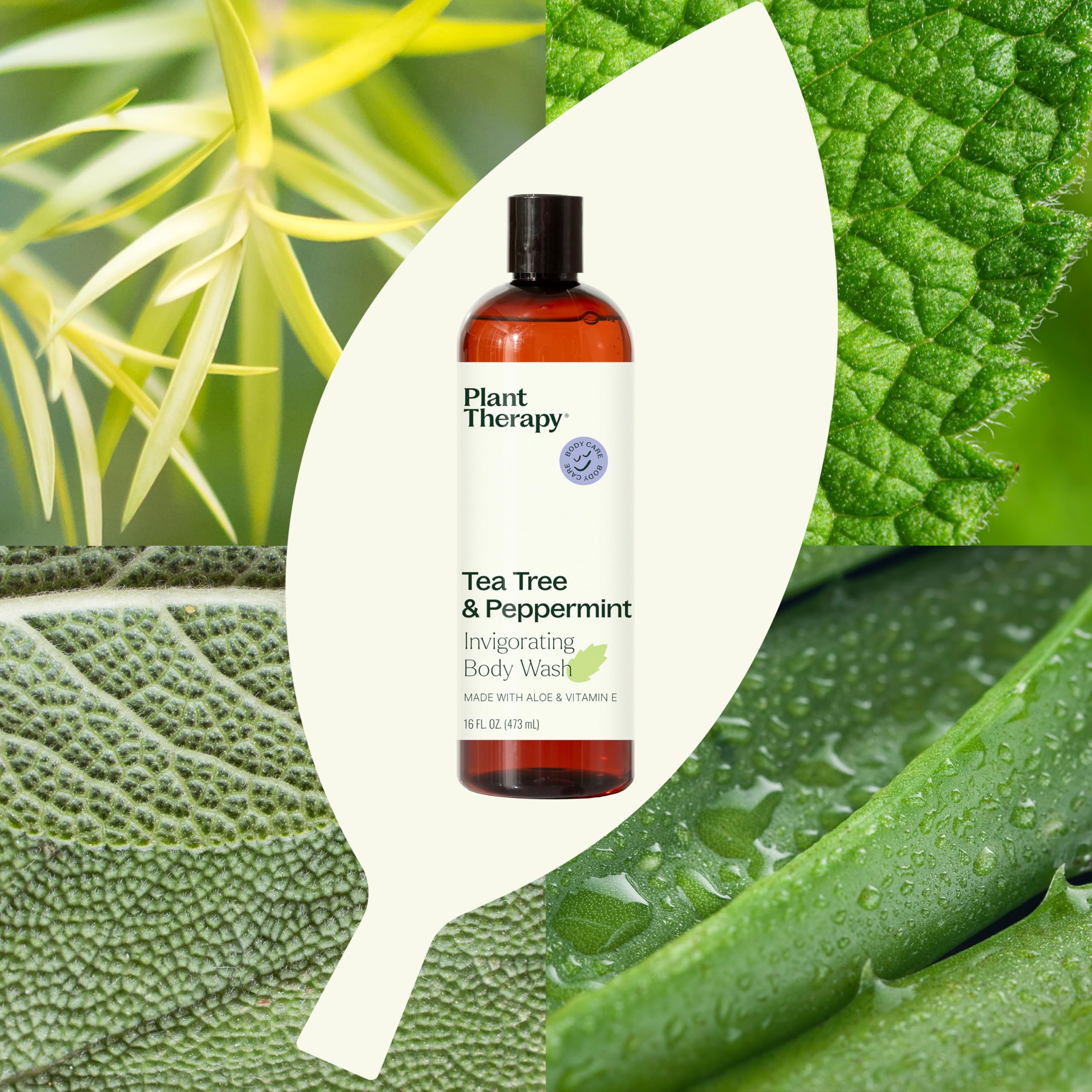 Plant Therapy Tea Tree Body Lotion with Aloe & Shea (8 oz) & Tea Tree Peppermint Essential Oil Body Wash (16 oz) - Sulfate-Free, All Skin Types, Men & Women - Perfect for Daily Skincare & Aromatherapy Relaxation