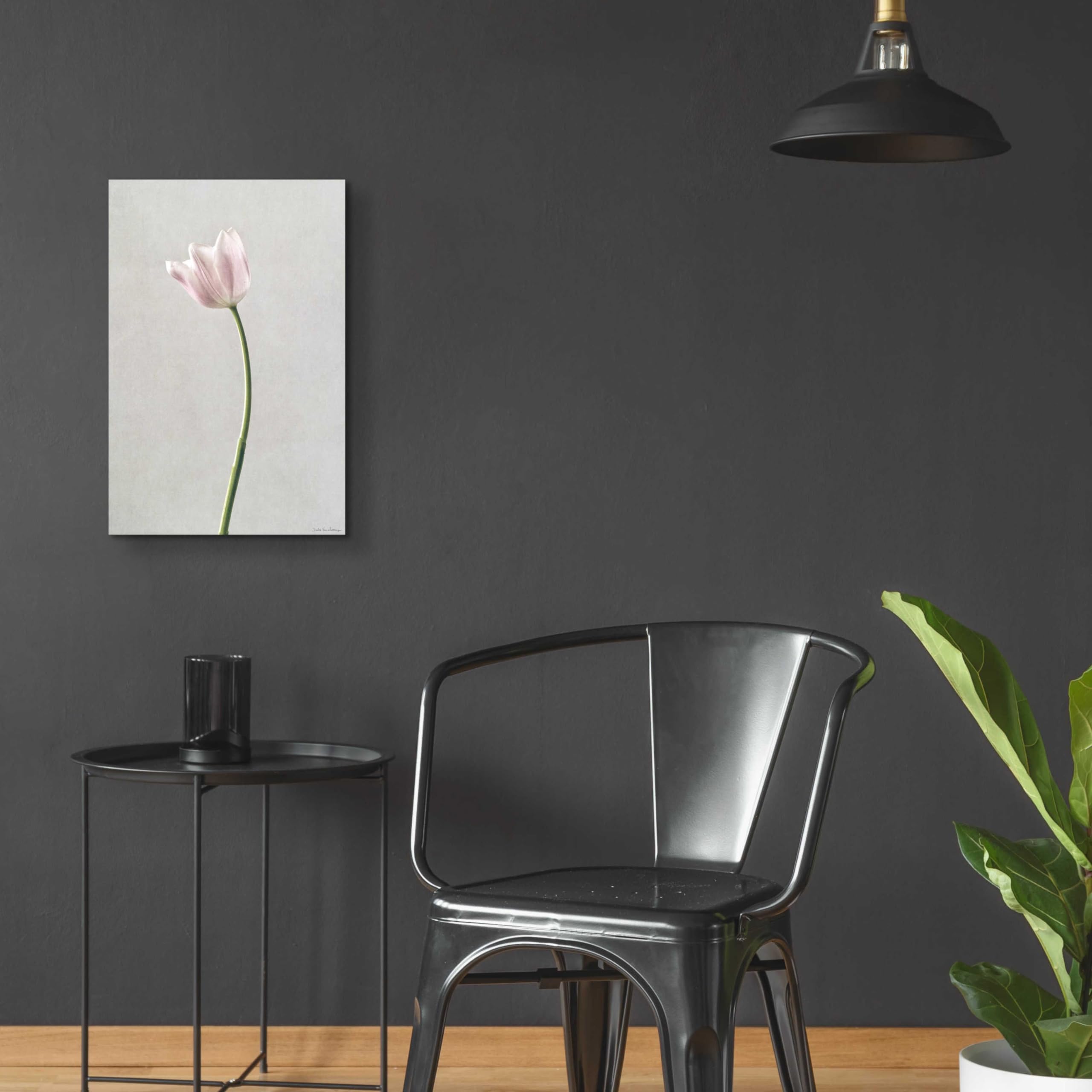 Light Tulips I Acrylic Glass Wall Art by Debra Van Swearingen - 16x24 Inches Modern Floral Painting for Living Room, Bedroom & Office Decor