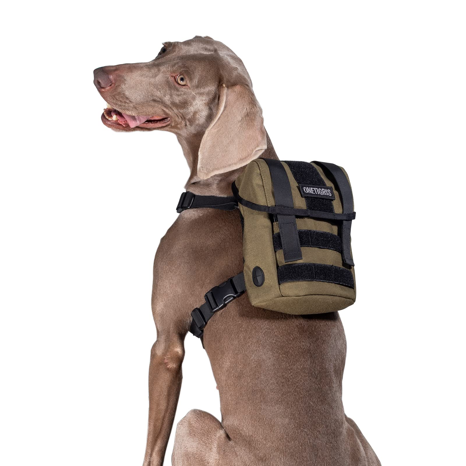Durable Dog Backpack for Small Medium Dogs - Hiking & Walking (Green)