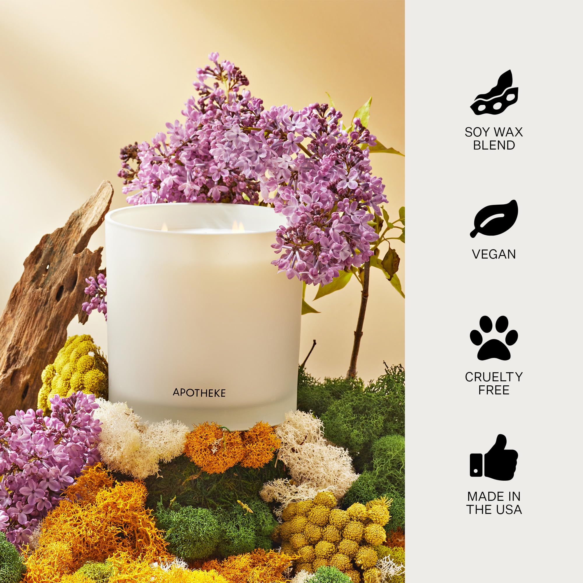 Apotheke 3-Wick Scented Candles - White Vetiver Fragrance, Long-Lasting Aromatherapy for Home, Spa & Relaxation