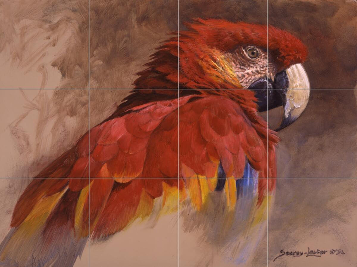 Scarlett Macaw Tropical Bird Ceramic Backsplash Tile Mural for Kitchen, Bathroom & Shower - John Seerey-Lester Artwork - Waterproof & Easy to Clean - Perfect for Home Decor & Accent Walls