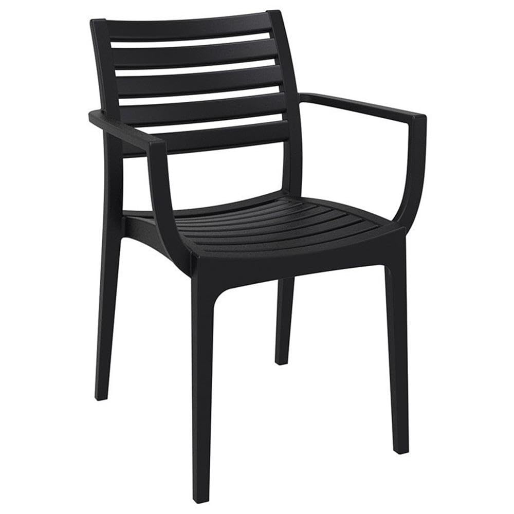 Artemis Outdoor Patio Dining Arm Chairs Set of 2 - Weather-Resistant Black Metal Garden Chairs for Backyard, Poolside, and Restaurant Outdoor Seating
