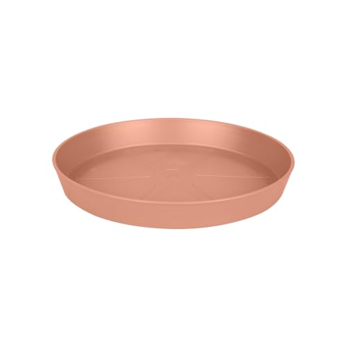 Delicate Pink