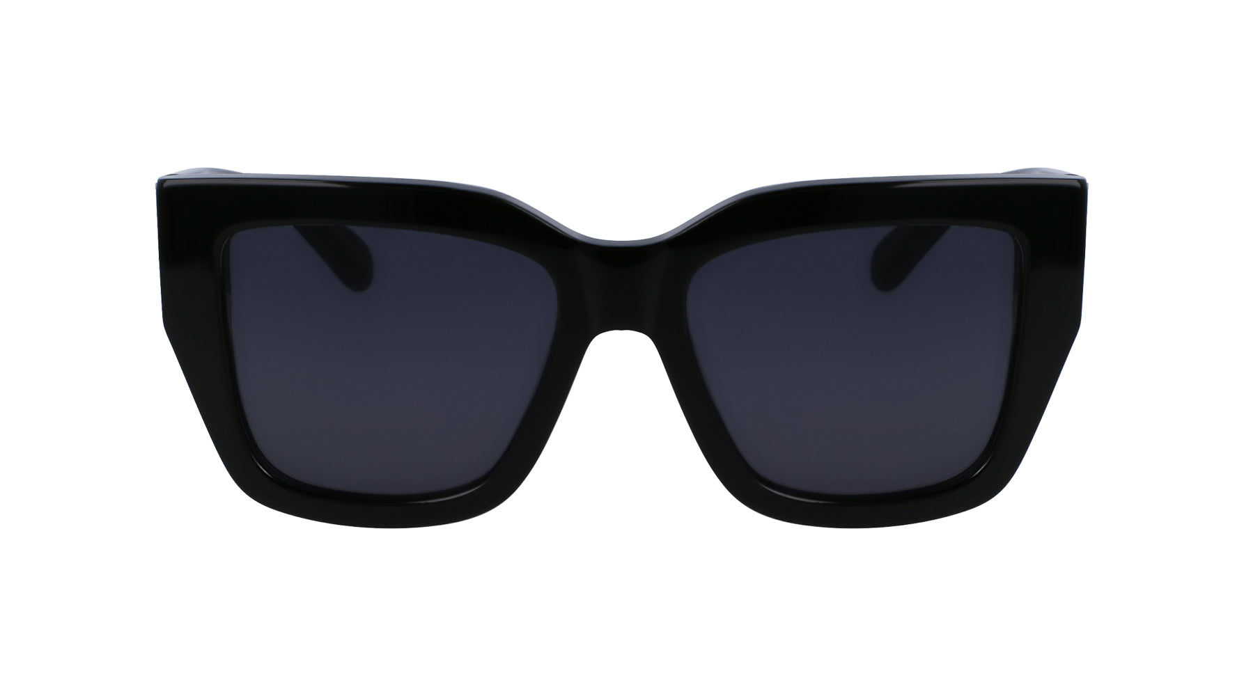 Ferragamo SF1104S Sunglasses for Women - Luxury Designer Shades with UV Protection - Perfect for Outdoor Activities, Travel, and Fashion Accessories