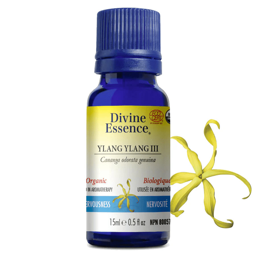 Organic Ylang Ylang III Divine Essence - Pure Aromatherapy Oil for Relaxation, Massage & Stress Relief