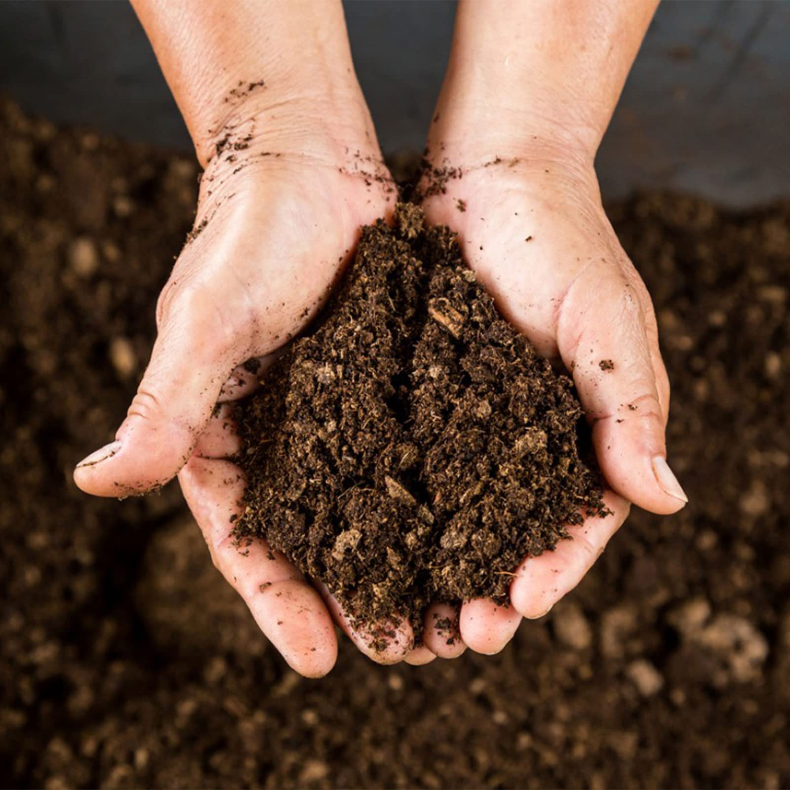 Organic Peat Moss for Plants - Soil Amendment & Carnivorous Plant Media (1qt) - Perfect for Gardening & Root Enrichment