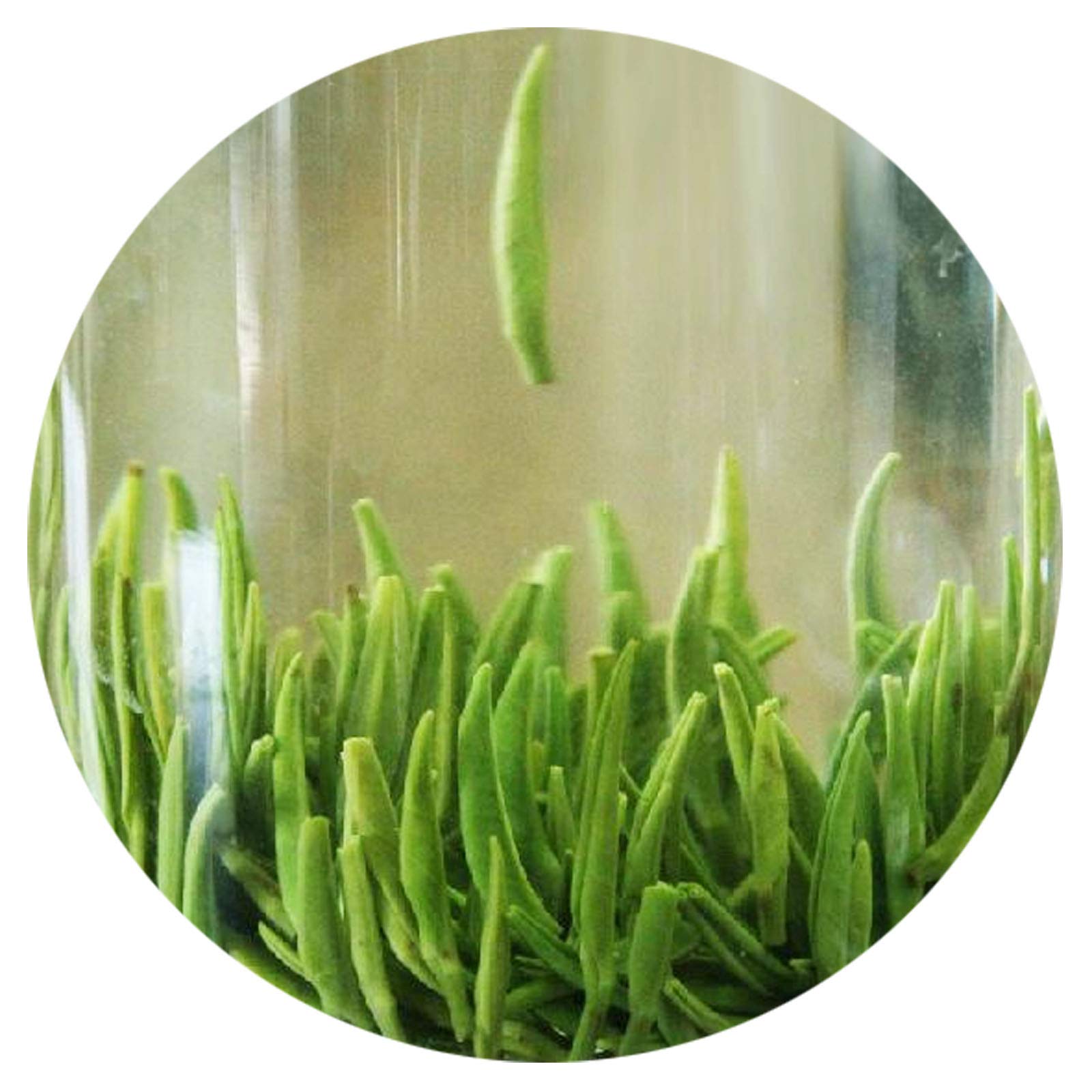 GOARTEA Supreme Grade Zhuyeqing Green Tea - 2Pcs 250g (17.6oz) Bamboo Leaf Loose Leaf Tea from Mount Emei - Premium Chinese Green Tea for Relaxation, Detox & Weight Loss - Perfect for Morning Boost, Afternoon Tea Time & Meditation