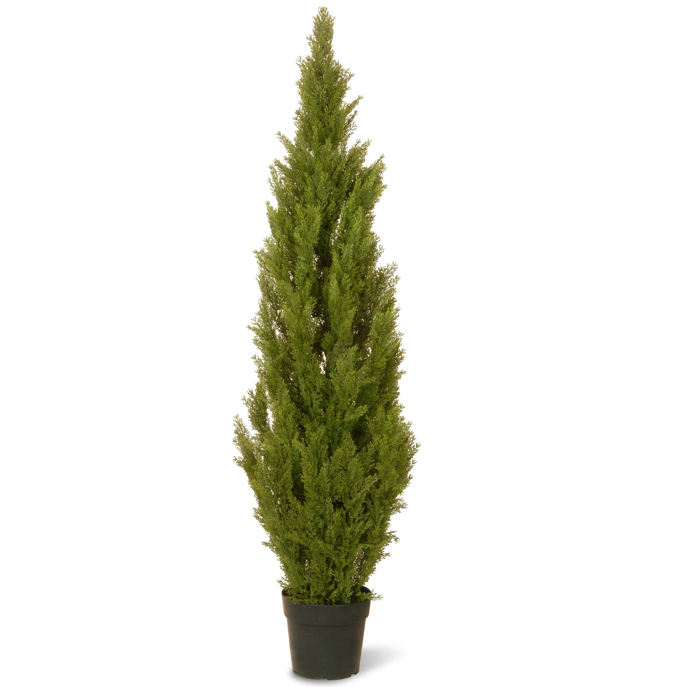 60 Inch Dark Green Arborvitae Topiary Tree in Round Growers Pot - Perfect for Indoor Decor, Outdoor Landscaping, and Patio Greenery